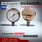 Safegauge Pressure Gauge 0-4 KG/CM2 & 0-0.4 MPA Body : sus304 Dia.4" Conn.SUS316 1/2"npt Bottom Type